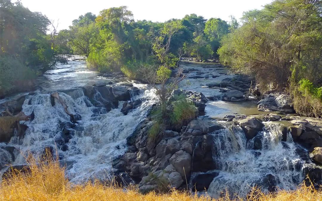 13 Days Tour to Awash NP, Danakil Depression, Erta Ale, Axum, Gheralta & Simien Mountains