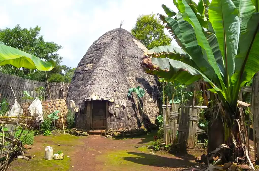 4 Days Southern Ethiopia Tour to Arba Minch, Lake Chamo, Crocodile Market & Dorze Village
