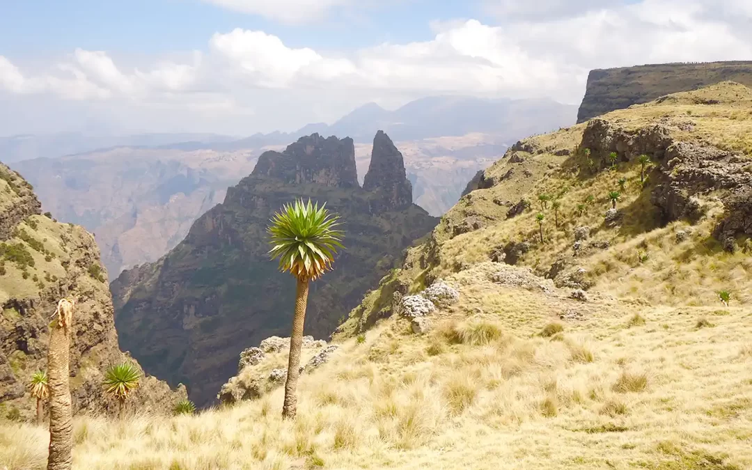 7 Days Northern Ethiopia Historic Route Tour & Camping Trip to Simien Mountains