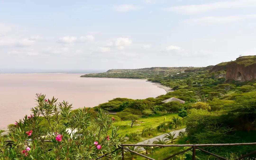 11 Days Southern & Eastern Ethiopia Tour: Harar, Awash, Langano, Hawassa & Senkelle Wildlife Sanctuary