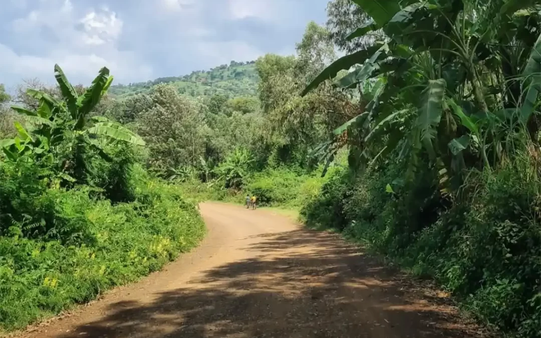 12 Days Tour to Northern & Southern Ethiopia including Hawassa, Arba Minch, Jinka & Mago National Park